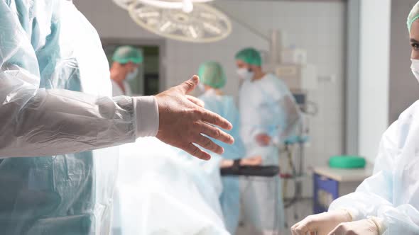 Closeup Nurse Helps Surgeon Wear Medical Gloves Before Surgery