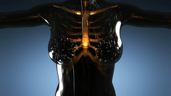 Human Body with Visible Skeletal Bones alt