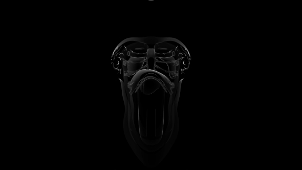 Anatomy Tomography Scan of Human Body alt