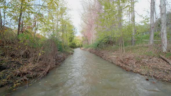 Autumn forest, gimbal walk