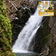 Small Waterfall in Forest - VideoHive Item for Sale