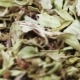 Dried Thyme in Bulk - VideoHive Item for Sale
