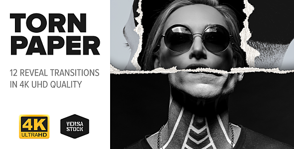 Torn Paper 4K | Reveal Transitions Pack alt