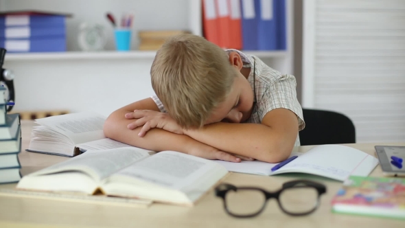 Boy Is Sleeping at the Desk on Textbooks and Notebooks