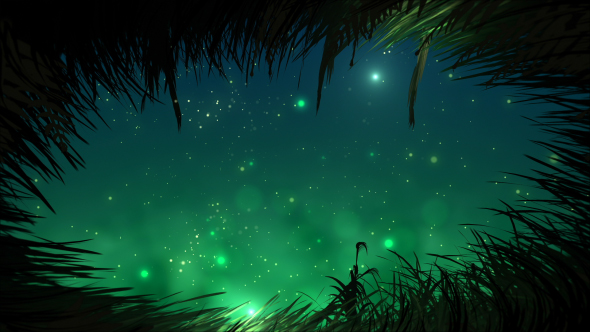 Grass At Night With Fireflies Loop alt