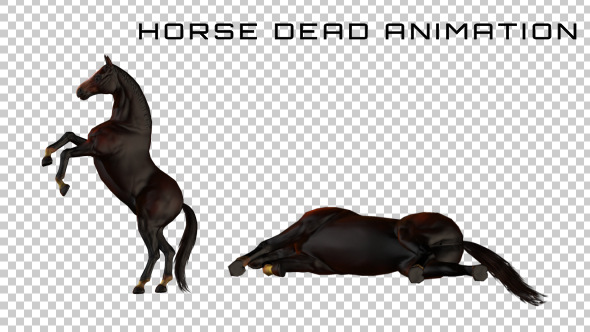 Horse Dead Animation alt