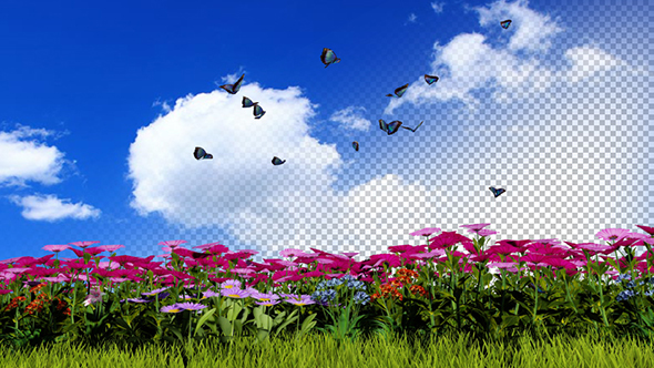 Flowers and Grass Ver.3 alt