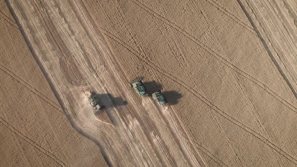 Aerial View on the Harvesters Working on the Large Wheat Field. Harvesting Agricultural Golden Ripe