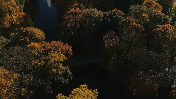 Riga Town City Autumn Yellow Tree Drone Flight