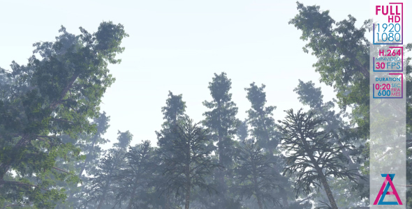 Trees in The Fog alt