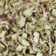 Dried Thyme in Bulk - VideoHive Item for Sale