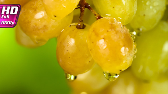 Raindrops on Amber Grapes