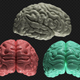 Brain (Looped) - VideoHive Item for Sale