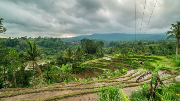 Jatiluwih Rice Terraces in Bali, Indonesia