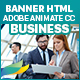 Business Banners HTML5 - 7 Sizes - (Animate CC) - CodeCanyon Item for Sale