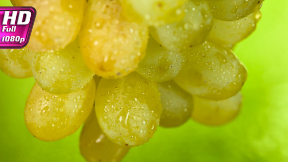 Wet Grapes on a Green Background