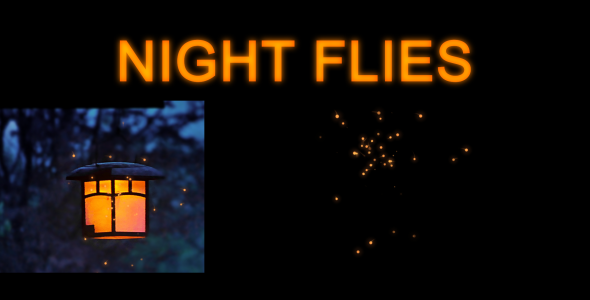 Night Flies alt