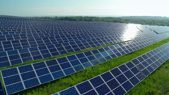 Top View of Solar Panels on Field with Sunlight Around