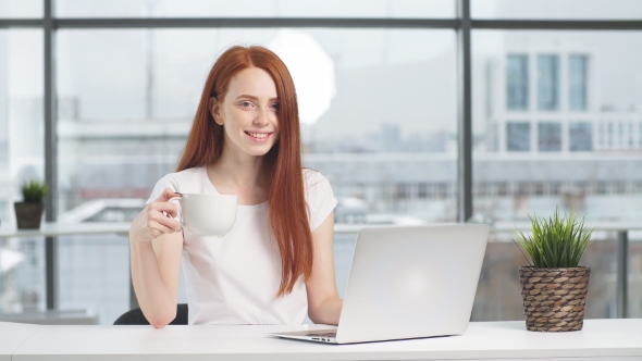 Young Smiling Business Woman Working Laptop in Office.