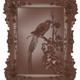 Bird bas relief for CNC - 3DOcean Item for Sale