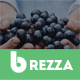 Brezza - Fruit Store Responsive Magento Theme - ThemeForest Item for Sale