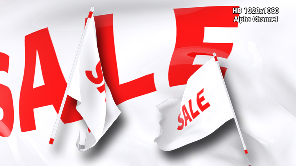 Flag Transition - Sale alt