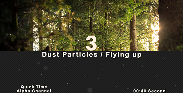 Dust Particles Flying Up