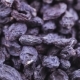 Pile of Blue Raisins - VideoHive Item for Sale