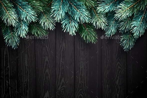 Christmas Background with Fir Branches on a Black