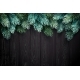 Christmas Background with Fir Branches on a Black - GraphicRiver Item for Sale
