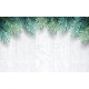 Fir Branches with White Wooden Texture - GraphicRiver Item for Sale