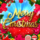Marry Christmas And New Year - VideoHive Item for Sale