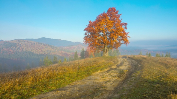 Autumn. Misty Morning in the Mountains