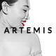 Artemis | Multi-purpose WooCommerce WordPress Theme - ThemeForest Item for Sale