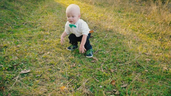 Little Boy in the Nature