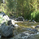 Creek fast flowing - VideoHive Item for Sale