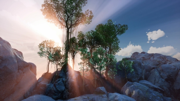 Sun Beams Through Trees alt