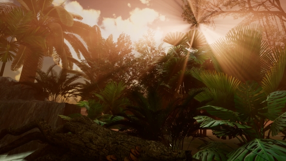 Sunset Beams Through Palm Trees alt