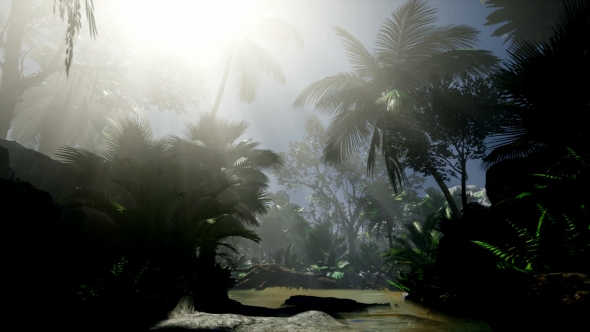 Sunset Beams Through Palm Trees alt