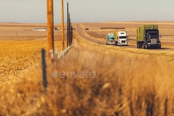 ighway, United States. Trucking and Shipping Theme.