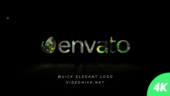 Quick Elegant Logo