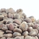 Pine Nuts in Bulks - VideoHive Item for Sale
