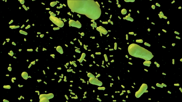 Green Bacteria Infection Able To Loop alt