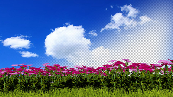 Flowers and Grass Ver.2