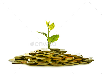 ess, saving, growth, economic concept isolated on white background