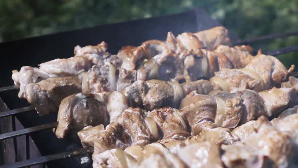 Cook Shish Kebab On The Brazier
