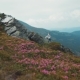 Peaceful View of Alone Young Girl Standing on the High Rocky Mountain, Surrounded By the Green Hills - VideoHive Item for Sale