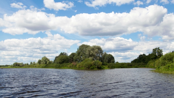 Summer Forest on the River Bank