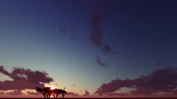 Silhouette, One Tree Dusk Landscape