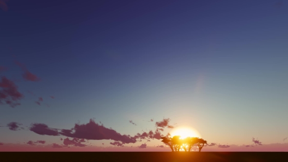 Silhouette, One Tree Dusk Landscape